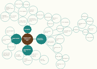 Mindmap zur Ertrinkungspräventionsmanagementkarte