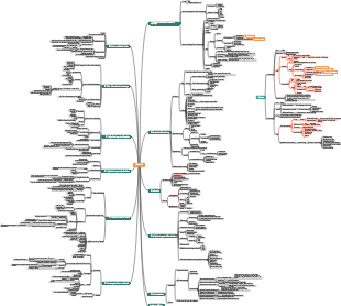 Medizin-Stomatologie-Mindmap