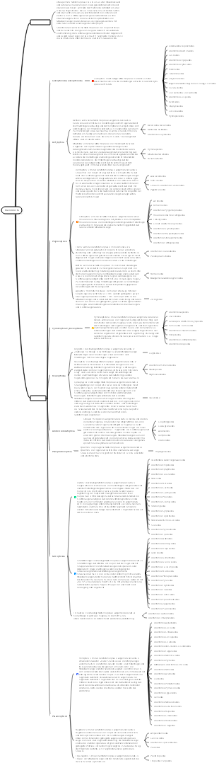 Mindmap zur Unterkategorie „Insekten“.