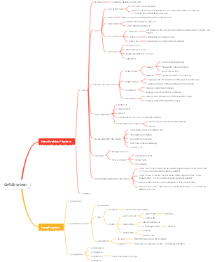 Medizinische Anatomie – Mindmap des Gefäßsystems