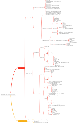 Grundlegende Mindmap der Drohnentechnologie