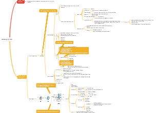 Veterinärmedizin-Atemwege-Mindmap