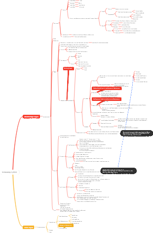 Mindmap der Tieranatomie des Verdauungssystems