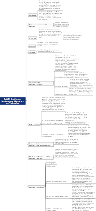 Verbraucherpsychologie Kapitel 3 Einstellungen, Emotionen und Erkenntnisse der Verbraucher