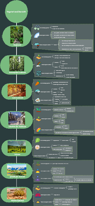 Mindmap zur Vegetationsübersicht