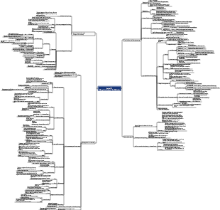 Kapitel 11 Bildungsforschung und Methoden Mind Map