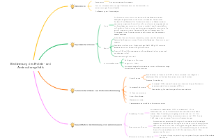 Protein- und Aminosäure-Mindmap