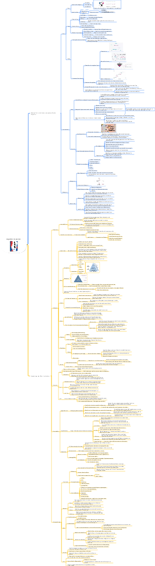 Mindmap „Kognitives Erwachen Die treibende Kraft für Selbstveränderung freisetzen“.