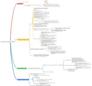 Mindmap der morphologischen Struktur von Pilzen