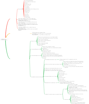 Pilz-Einführungs-Mindmap