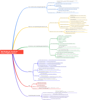 Best Practices und Tools für das Internet-Projektmanagement