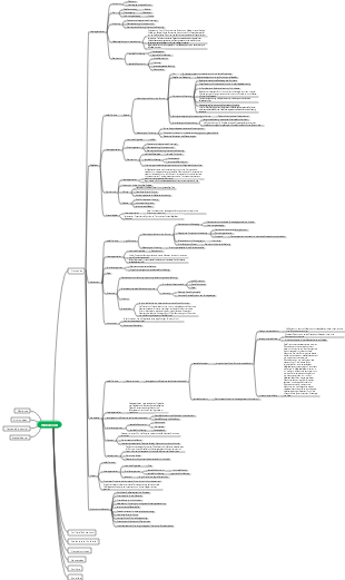 Allgemeine Zoologie-Protozoen-Mindmap