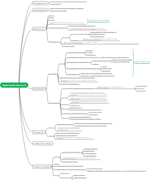 Psychologie-Charakter-Mindmap