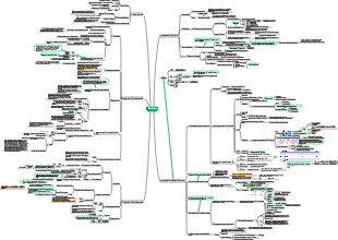 Biochemie und Molekularbiologie – DNA-Synthese