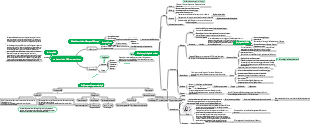 Mindmap der prokaryotischen Mikroorganismen