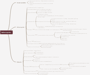 Aktinomyceten-Mindmap