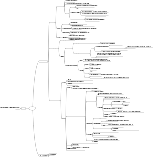 Mindmap der Verdauungsdrüsen