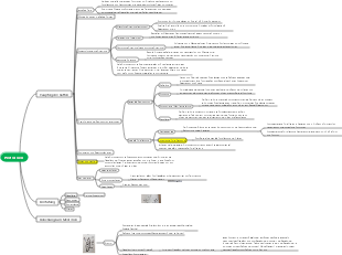 Mindmap von Protozoen