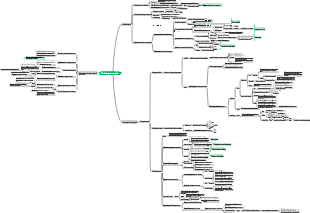 Biochemie und Molekularbiologie – Integration und Regulation des Stoffwechsels