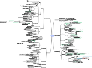 Biochemie und Molekularbiologie – Biochemie der Leber