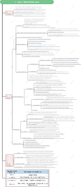 Zahnmark – 1.1 Karies – Überblick über Karies