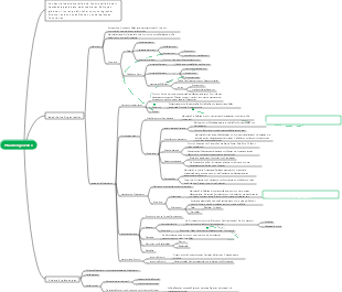 Pflanzengewebe-Mindmap