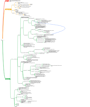 Mikrobiologische Bakterien-Mindmap