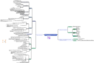 Mindmap der Morphologie und Struktur von Bakterien