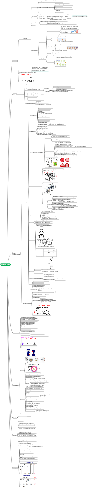 Zoologie·Wirbellose·Eigenschaften-Mindmap
