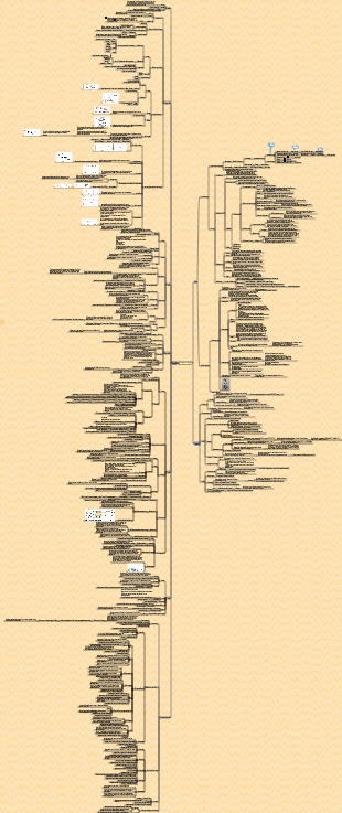 Allgemeine Übersicht über die Lebensmittelbiochemie, Mindmap