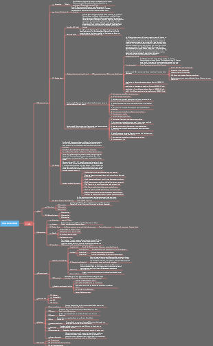 USA-Basketball-Replika-Mindmap