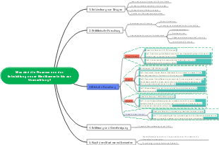 Was sind die Prozesse von der Entwicklung neuer Medikamente bis zur Vermarktung