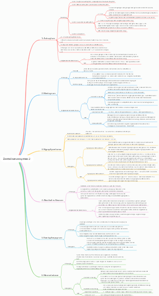 Zentralnervensystem 2