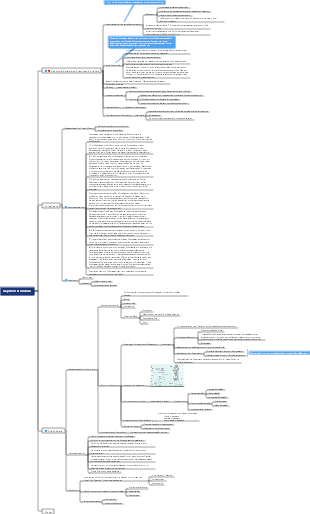 Zoologie Kapitel 9 Annelida