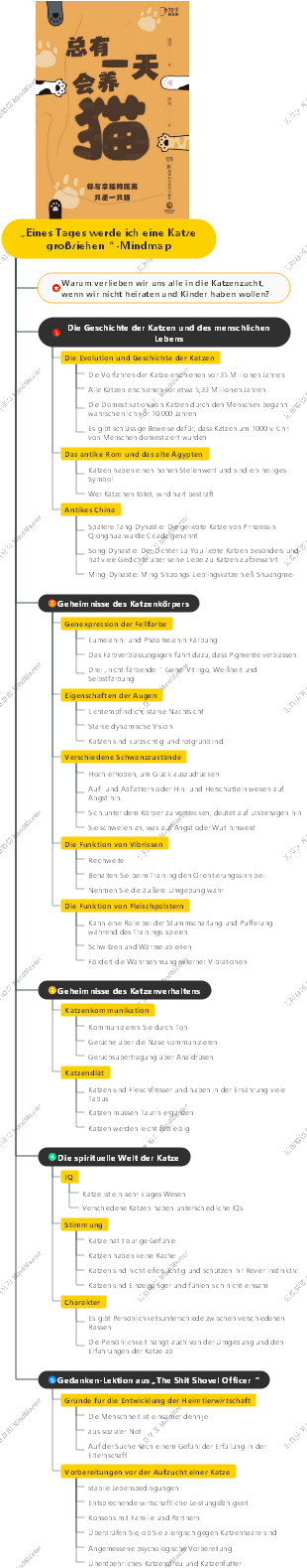 „Eines Tages werde ich eine Katze großziehen“-Mindmap