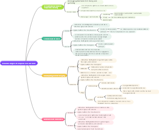 Veränderungen im körperlichen Zustand