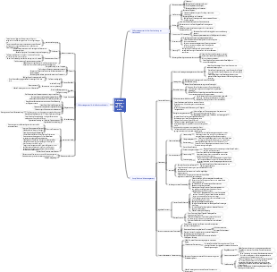 Neurochirurgie-Pflegerisiko-Mindmap