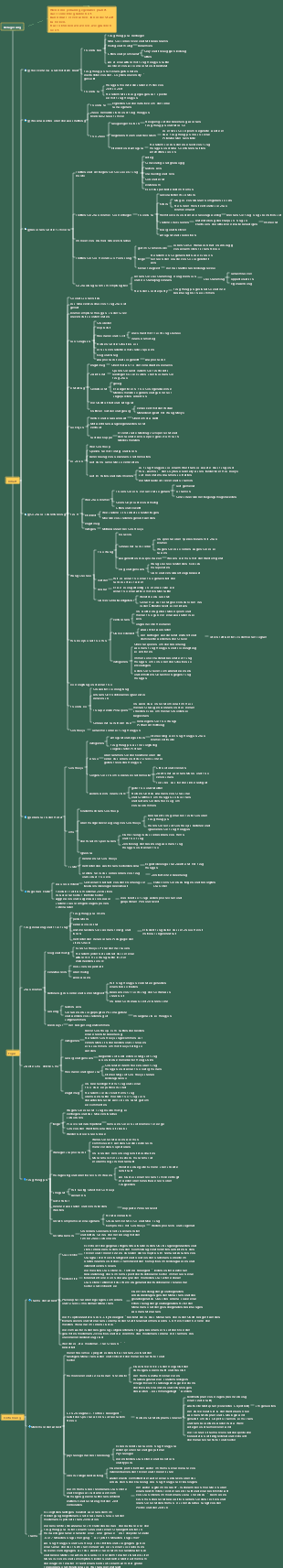 Belagerte Stadt Lesenotizen Mindmap