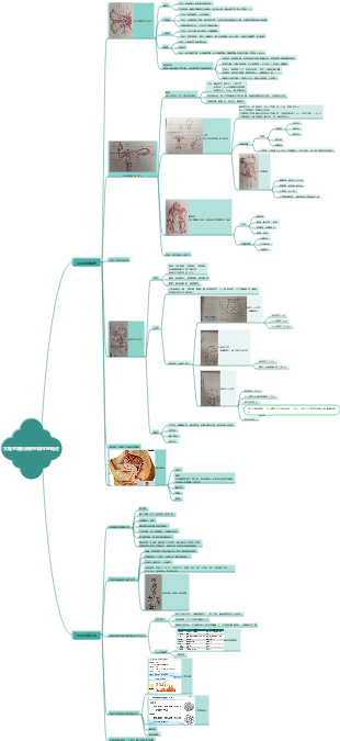 女性生殖系統解剖與生理概論(2)