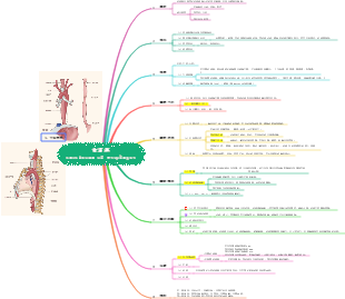 內科學消化系統-食道癌