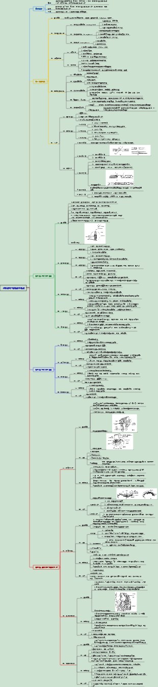 外科學064週邊神經損傷