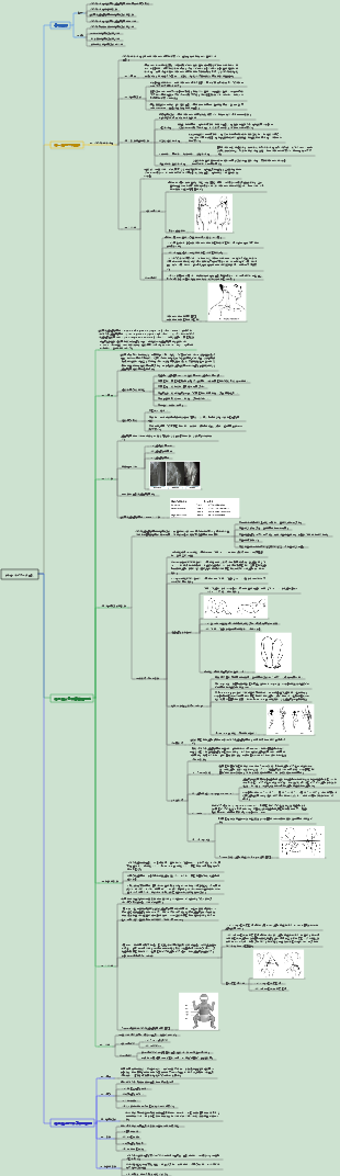 外科學057運動系統畸形