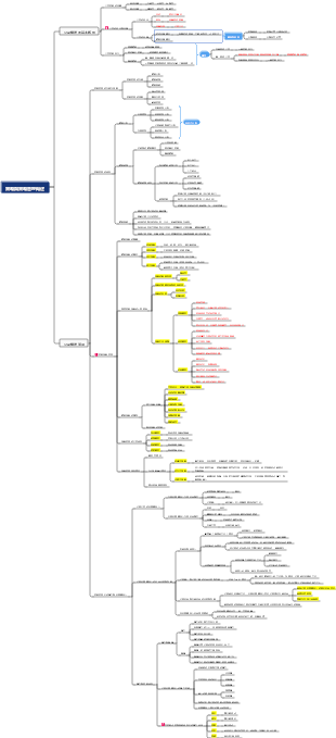 2024CPA策略(更新中)