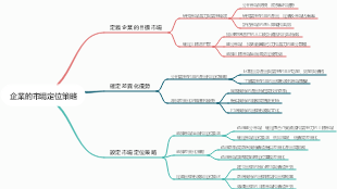 企業的市場定位策略
