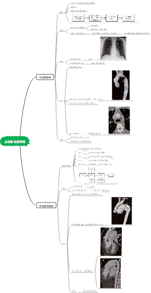 主动脉发育异常思维导图