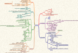 系统解剖学之呼吸系统