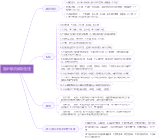 循环系统解剖生理