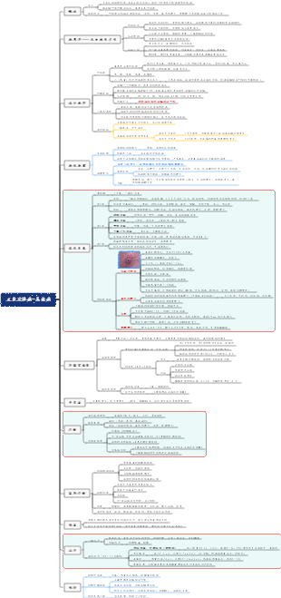 传染病学-立克次体病-恙虫病