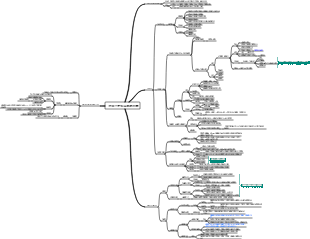 作用于呼吸系统的药物