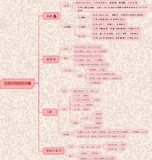 人体内物质的运输